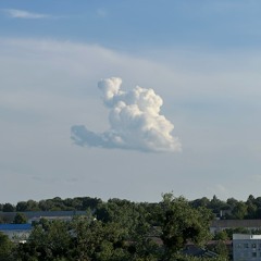 Любе-голубе vol.3 VinylOnly