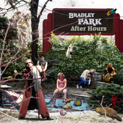 Bradley Park (2025 remaster)
