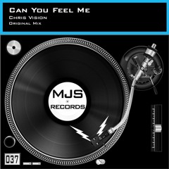 Chris Vision - Can You Feel Me (Original Mix)