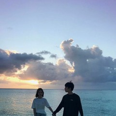 See Tình (Lofi Ver.) - Hoàng Thùy Linh x Zeaplee