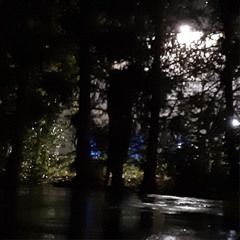 RIOT #JUSTICEFORGEORGEFLOYD