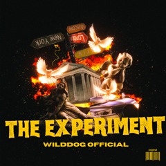 WILDDOG - THE EXPERIMENT (UptempoTRACK)