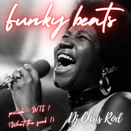 Dj Chris Rod "FUNKY BEATS" - Prélude: "WTF ! (What the funk !)"