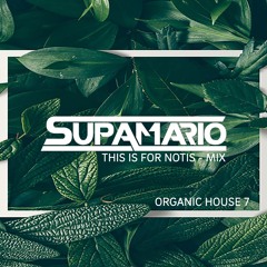 #05 - 2024 SUPAMARIO - ORGANIC HOUSE 7
