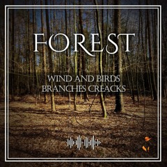 Forest Wind Birds BranchesCreaks LowerSaxony