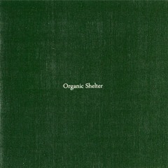 Andrea Penso - Organic Shelter (2021)