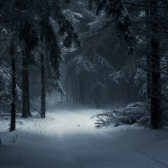 In The Dark Winter Woods