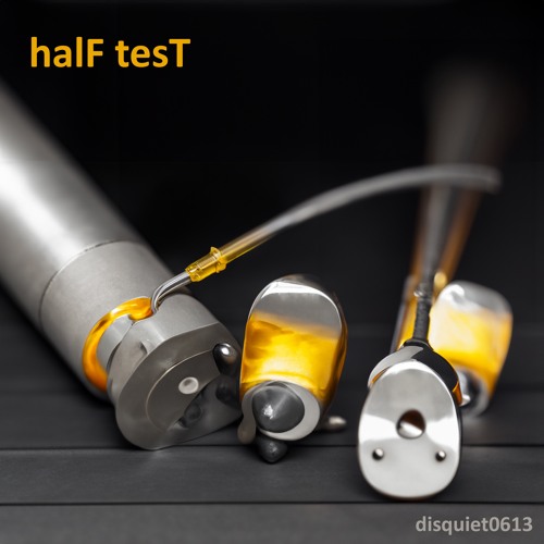 halF tesT [disquiet0613]