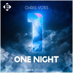 Chris Voss - One Night (Original Mix)