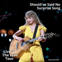 Should've Said No (Live at The Eras Tour)