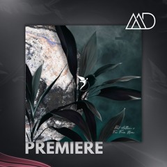 PREMIERE: Paul Anthonee, Far From Home - Stoppage Time [Astral Records]