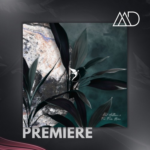 PREMIERE: Paul Anthonee, Far From Home - Stoppage Time [Astral Records]