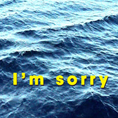 I'm sorry