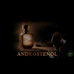ANDROSTENOL 2.0