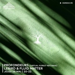 Profondeurs - Lebird & Fluid Matter (Mai 2022)
