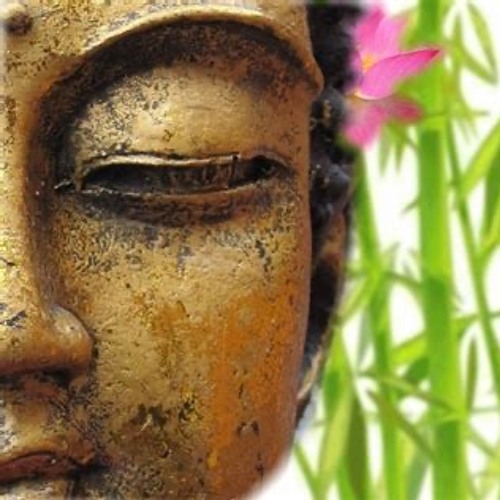 Woke to the Hush of an Open Sky.