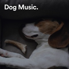 Dog Music 🐶: Dog Playlist, Sleep Music For Dogs, Calming Music For Dogs, Relaxing Music For Dogs