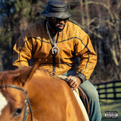 Nym Lo - From The Horse’s Mouth