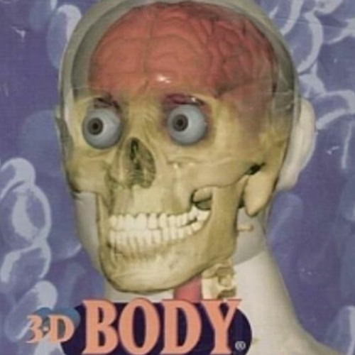 3.D BODY (w buhduh)