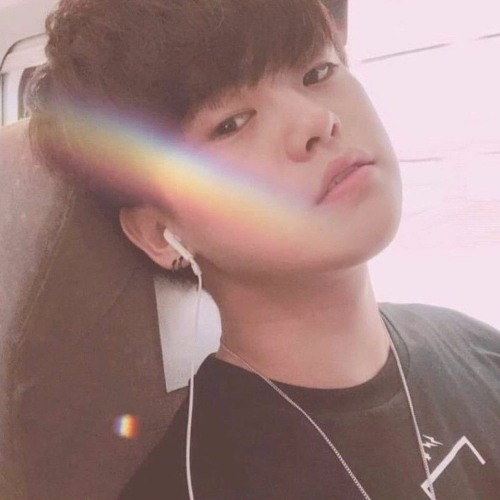 191105 버드나무