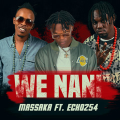 We Nani (feat. Echo254)