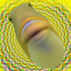 Psychedelic Type Sung