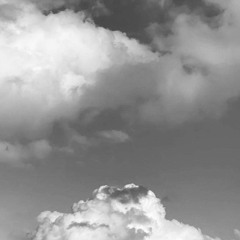 امرك حبيبي على راسي وماينّرد