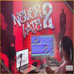 NLV D - Never To Late