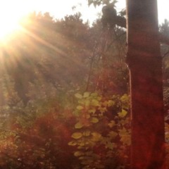 interlude. ˚⋆𓇼˚⊹