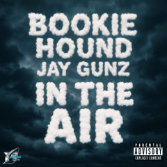 In The Air (Prod. TGEMMA)