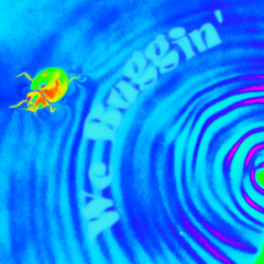 We Buggin'