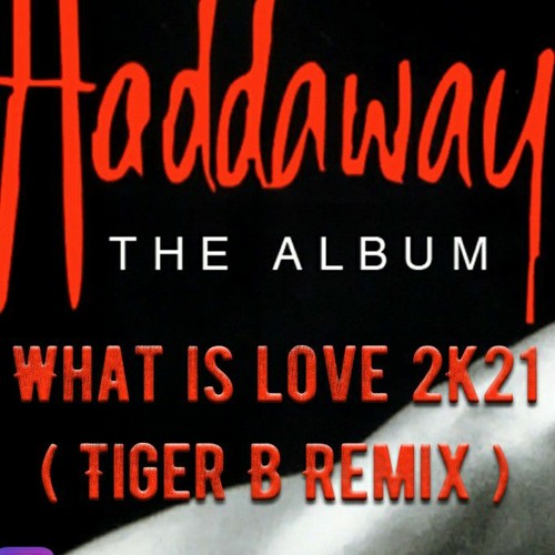 Stream Haddaway - What is love 2k21 ( Tiger B Remix ).mp3 by Tiger B |  Listen online for free on SoundCloud