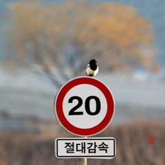 절대감속