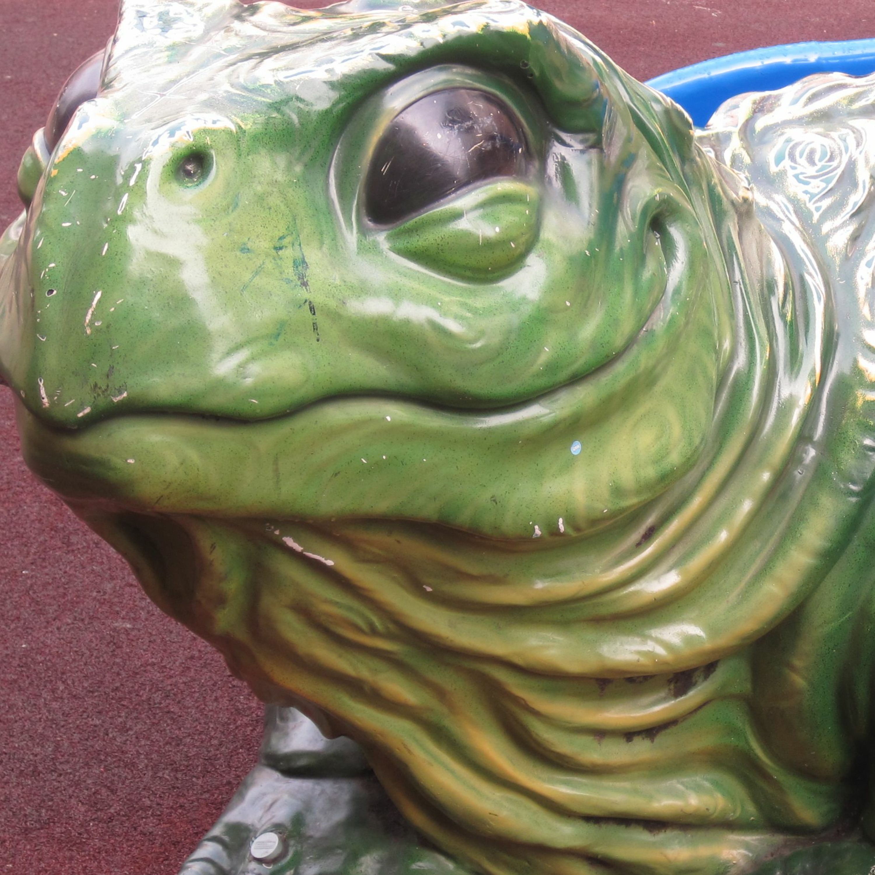 Tuatara