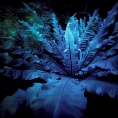 Boy With Stick by Hum