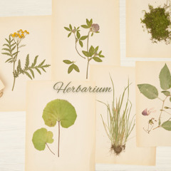 Herbarium