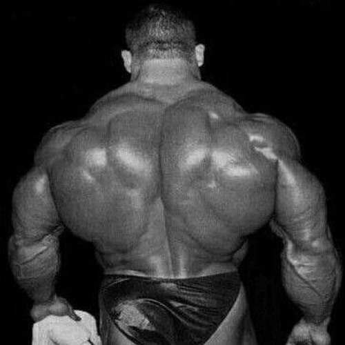 dorian yates blood n guts be quiet and drive far away - deftones gym