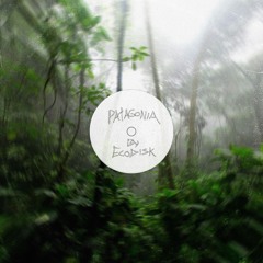 patagonia ["euro flute sunrise" - audio combat]