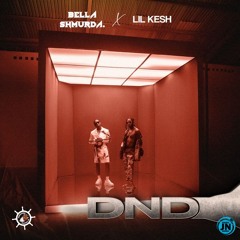 DND (feat. Lil Kesh)
