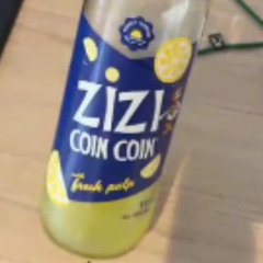 zizi coin coin song