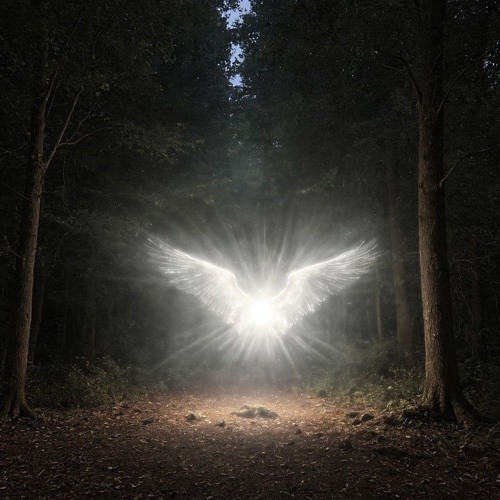 a thing in creation