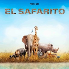 EL SAFARITO - Afro-Melodic-Indie-Oriental - Pre Party DJ Set