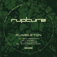 Rumbleton - Just A Dream (clip)