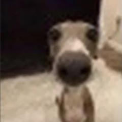 i dont know what the fuck this is