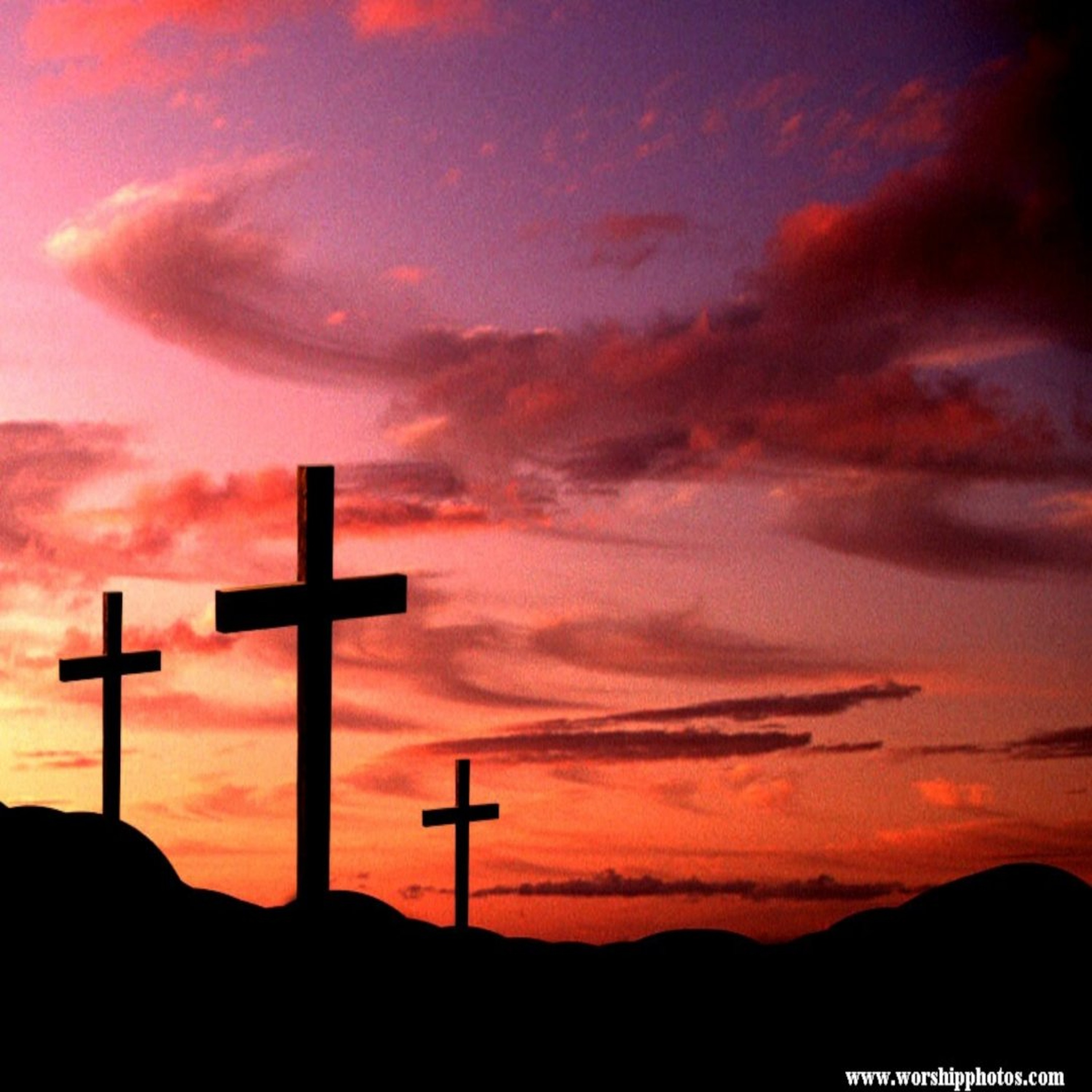 Zechariah 9:9 - 10:7, 8/4/26 episode artwork