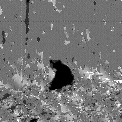 dream of electric chic