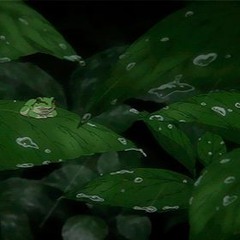 20170505 "overgrown"