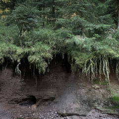 Low Land