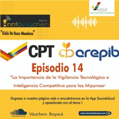 EPISODIO No. 14 UNION TEMPORAL PROVEEDOR VAUCHERS DE INNOVACION