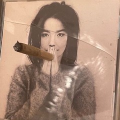 I FUCK THE SYSTEM EVERYDAY